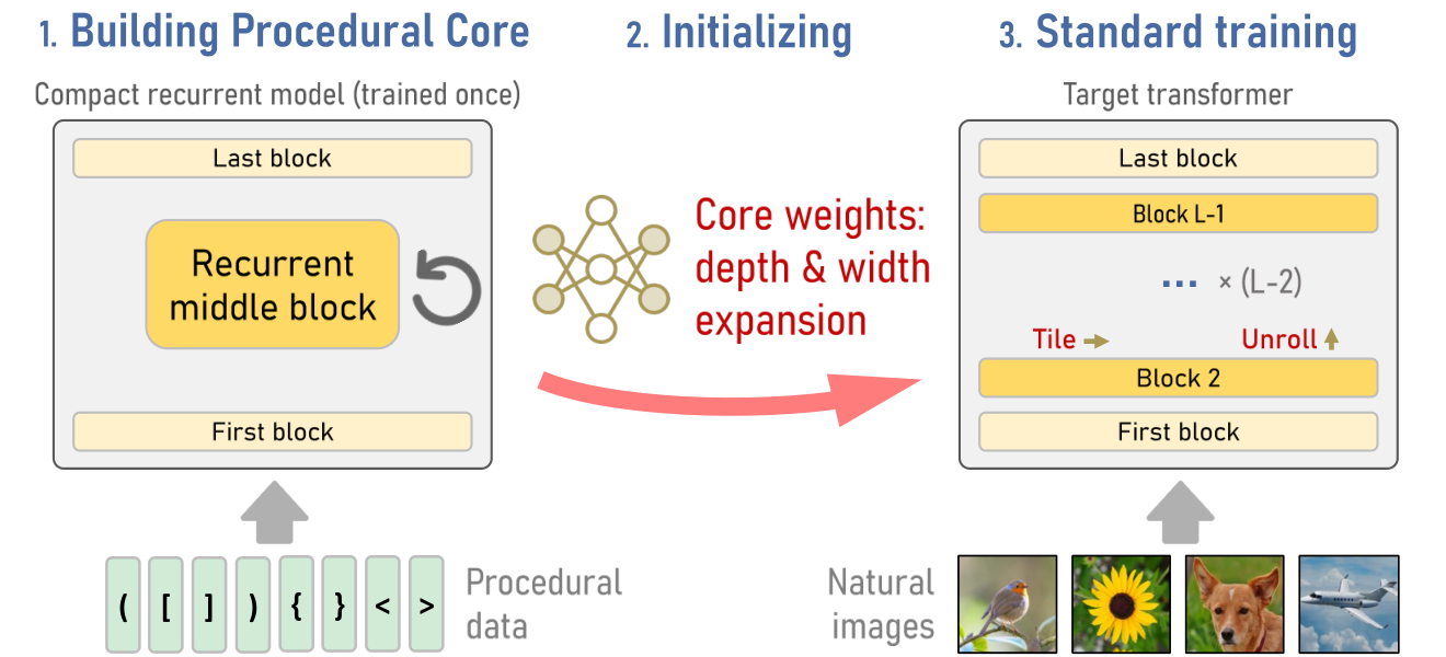 Procedural Core: A Compact Recurrent Initialization for Vision Transformers