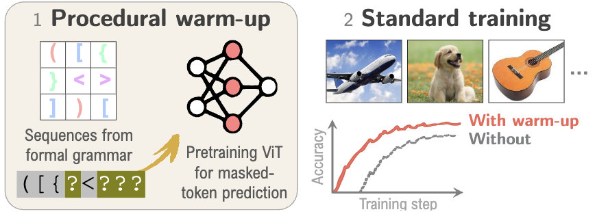 Procedural warm-up pipeline for vision transformers